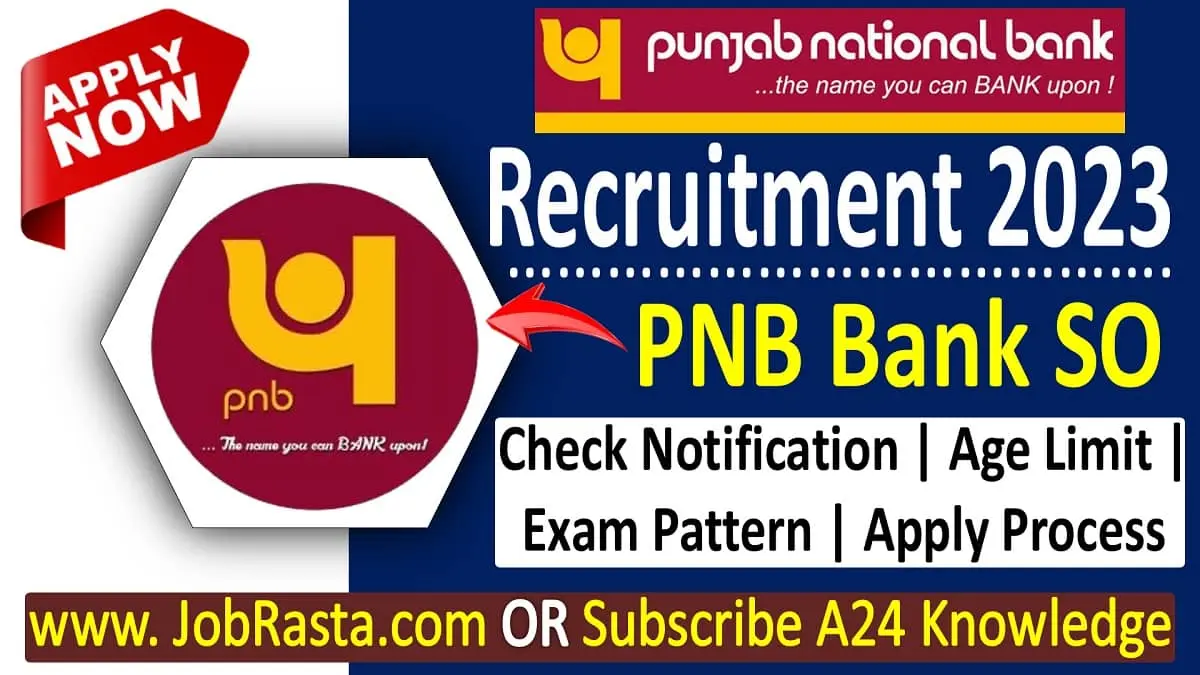PNB SO Recruitment 2023 Notification for 240 Post