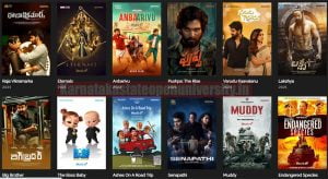 Downloadhub 300MB Hollywood Bollywood Tamil Telugu Kannada Dual Audio