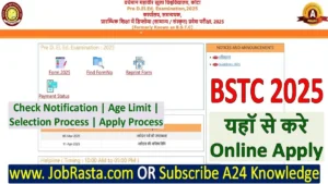 Rajasthan BSTC Pre DElEd