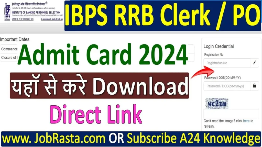 IBPS RRB Admit Card 2024