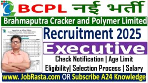 BCPL Executive Recruitment