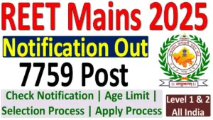 REET Mains 2025 Notification
